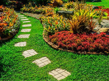 landscaping in chennai, garden maintenance chennai, garden design chennai, gardening chennai, garden contractors chennai, terrace gardens chennai, gardening design chennai, landscape designer chennai, landscape architects chennai, landscape architect chennai, landscape designer chennai, landscaping chennai, swimming pool designer chennai, swimming pool maintenance chennai, swimming pool contractor chennai, landscape, landscape architects, plantscape, plantscape chennai, planting design, landscape designer, institutional landscape, industrial landscape, commercial landscape, residential lanscape, scenery  setting, chennai landscape, chennai landscaping, chennai landscape designers, chennai garden maintenance, chennai garden management, chennai terrace gardens, chennai swimming pool designers, chennai swimming pool maintenance, chennai gardening, chennai landscape architects, landscape in chennai, landscaping in chennai, landscape designers in chennai, garden maintenance in chennai, garden management in chennai, terrace gardens in chennai, swimming pool designers in chennai, swimming pool maintenance in chennai, gardening in chennai, landscape architects in chennai